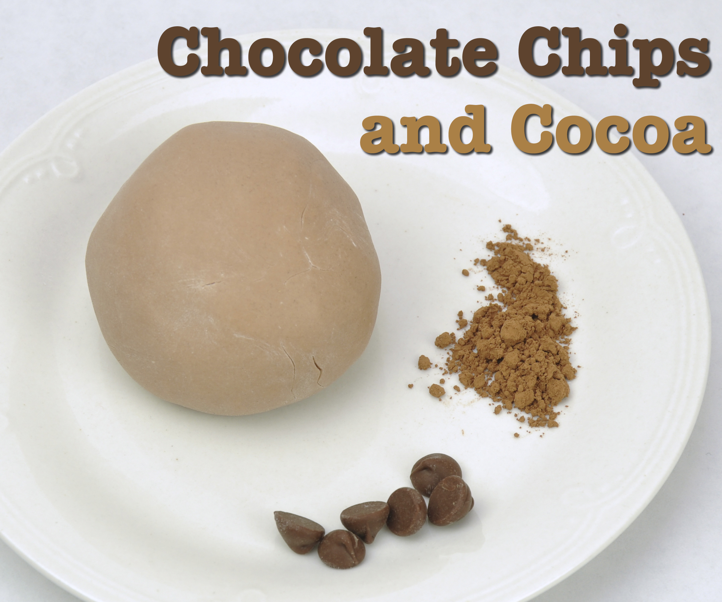 chocolate chips and cocoa copy.jpg