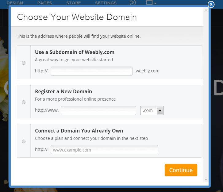 choose a domain.JPG