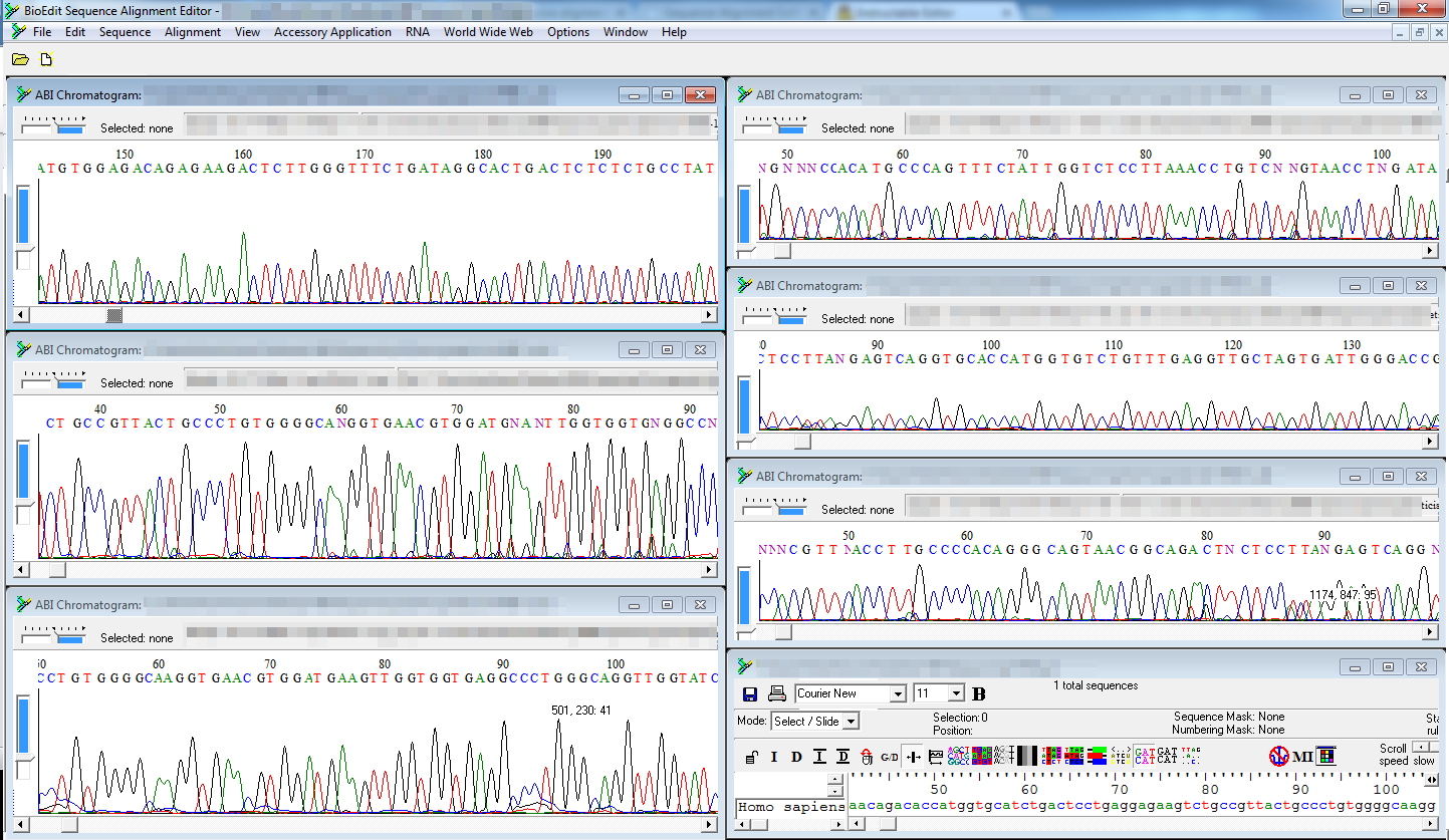 chromatograms.png