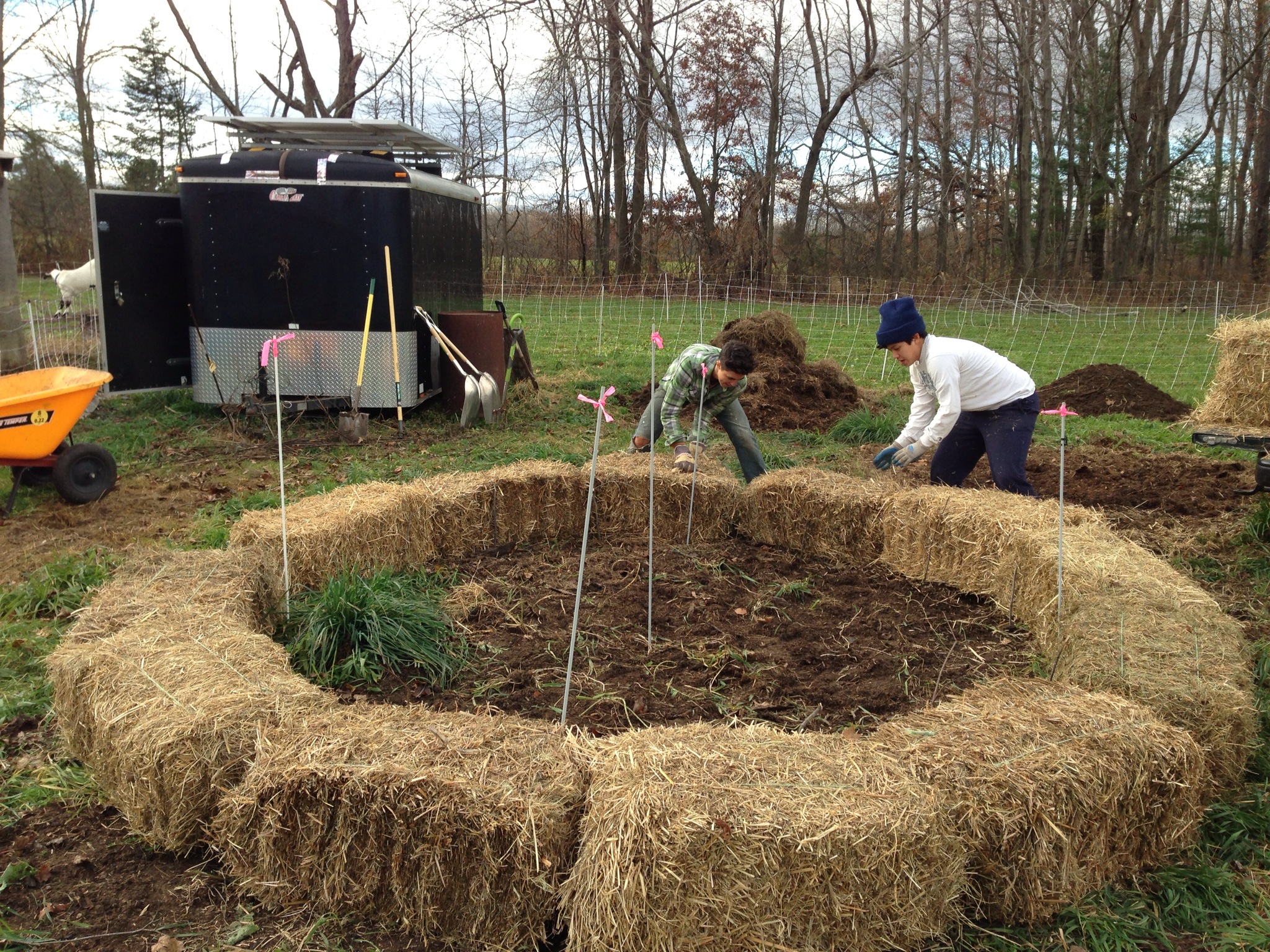 circle of hay.jpg