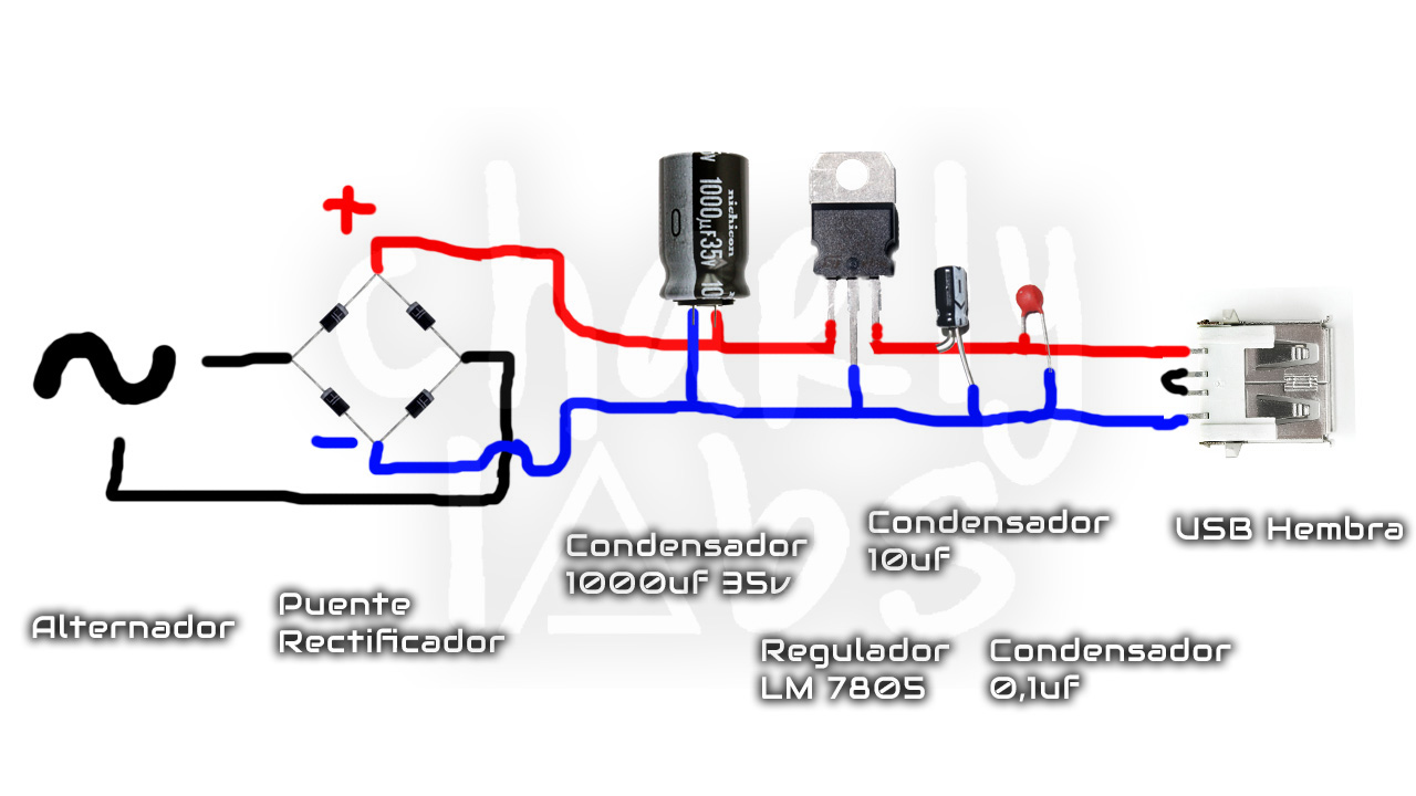 circuito-bici.jpg