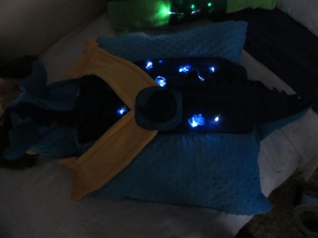 close up of Dark pillow.JPG