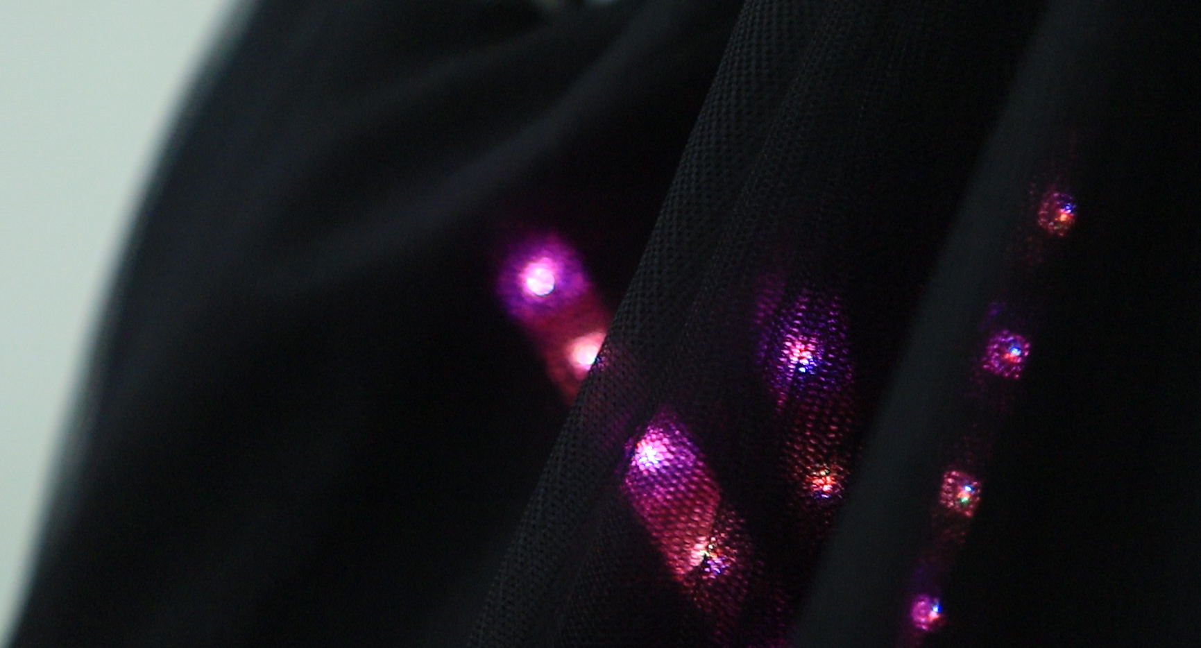 closeup3.jpg