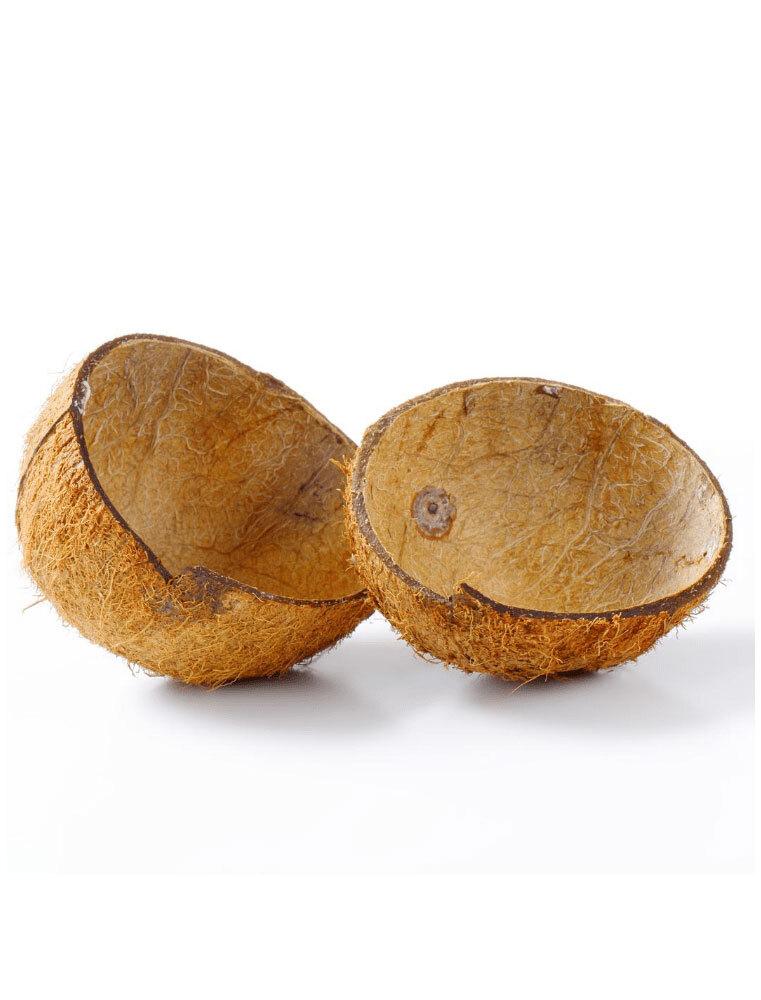 coconut-shell.jpg