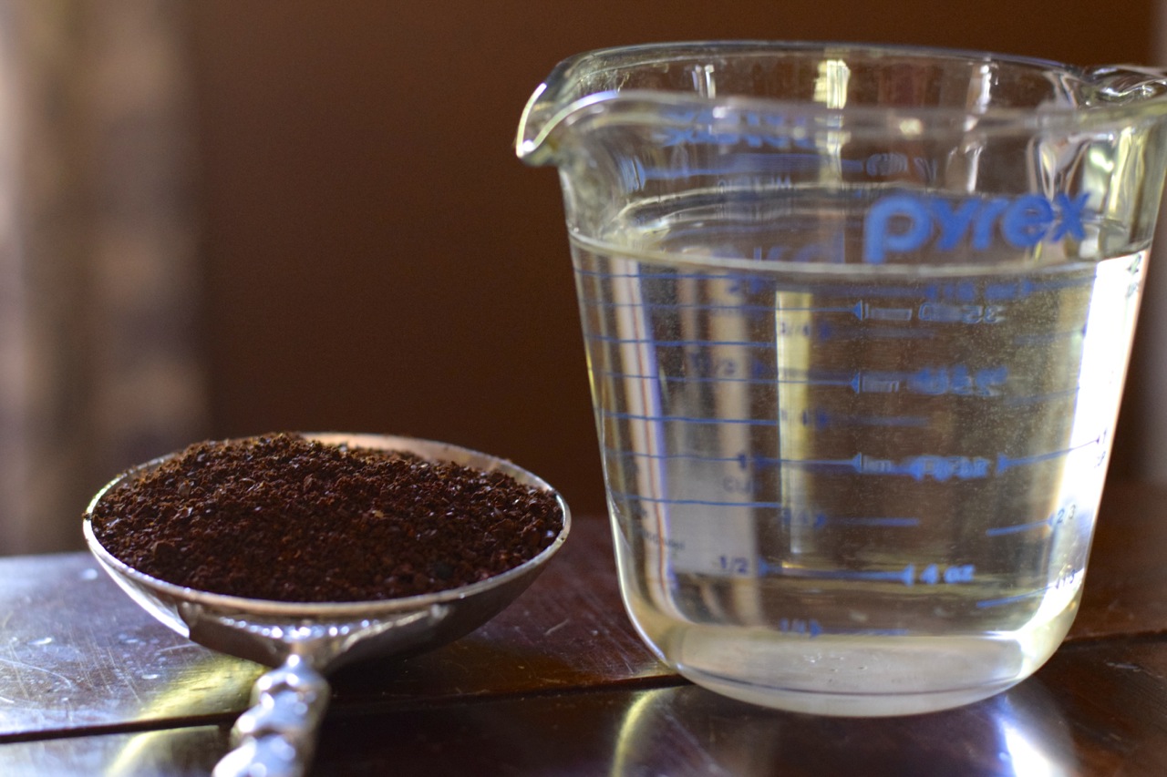 coffee grounds and water.jpg