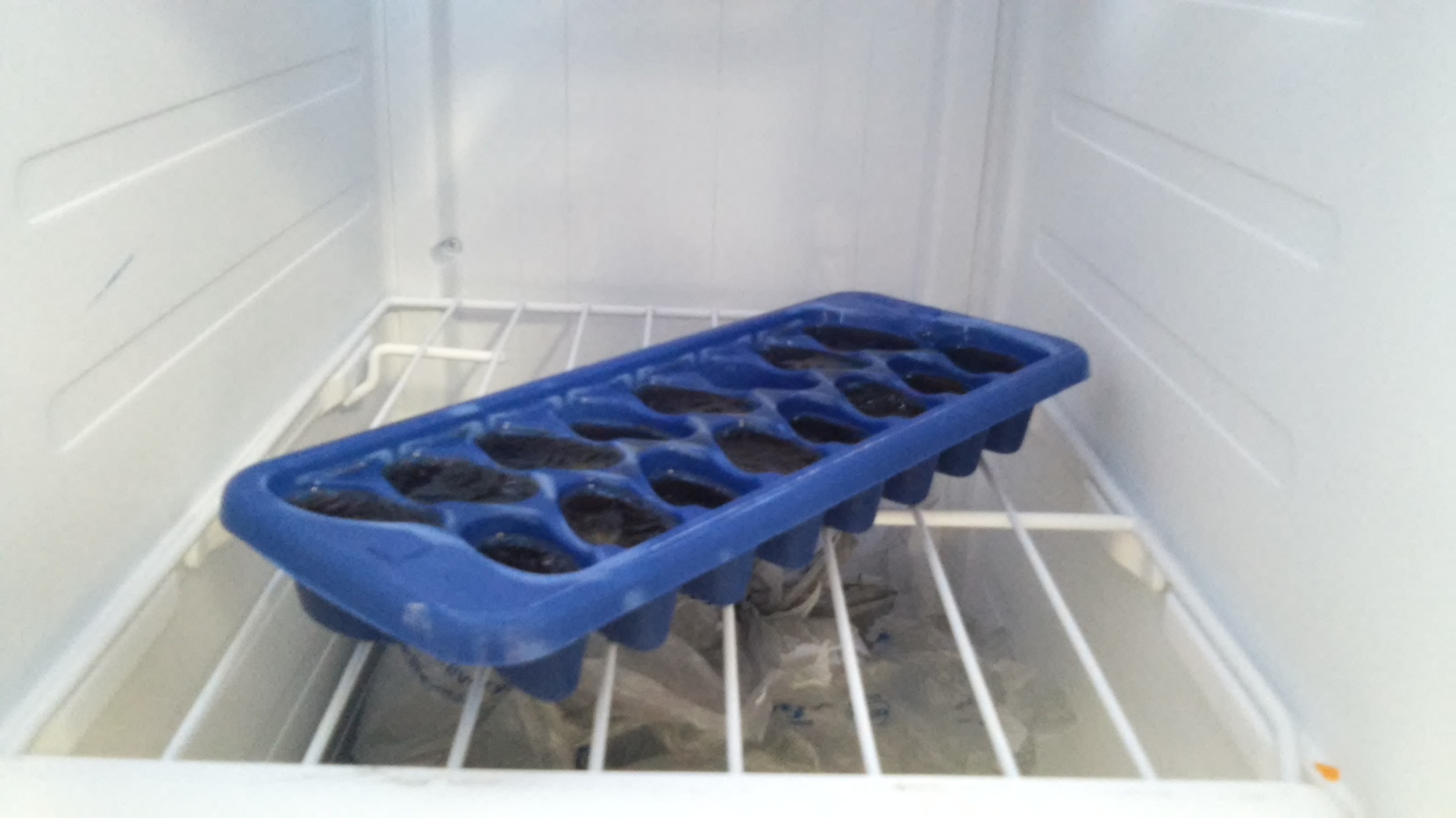 coffee ice freezer.jpg