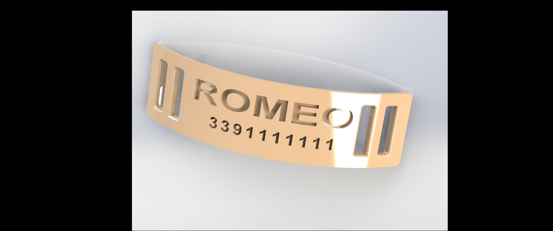 collar 1 - romeo.JPG