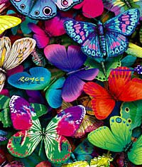 colorful_butterfly_images_T.jpg