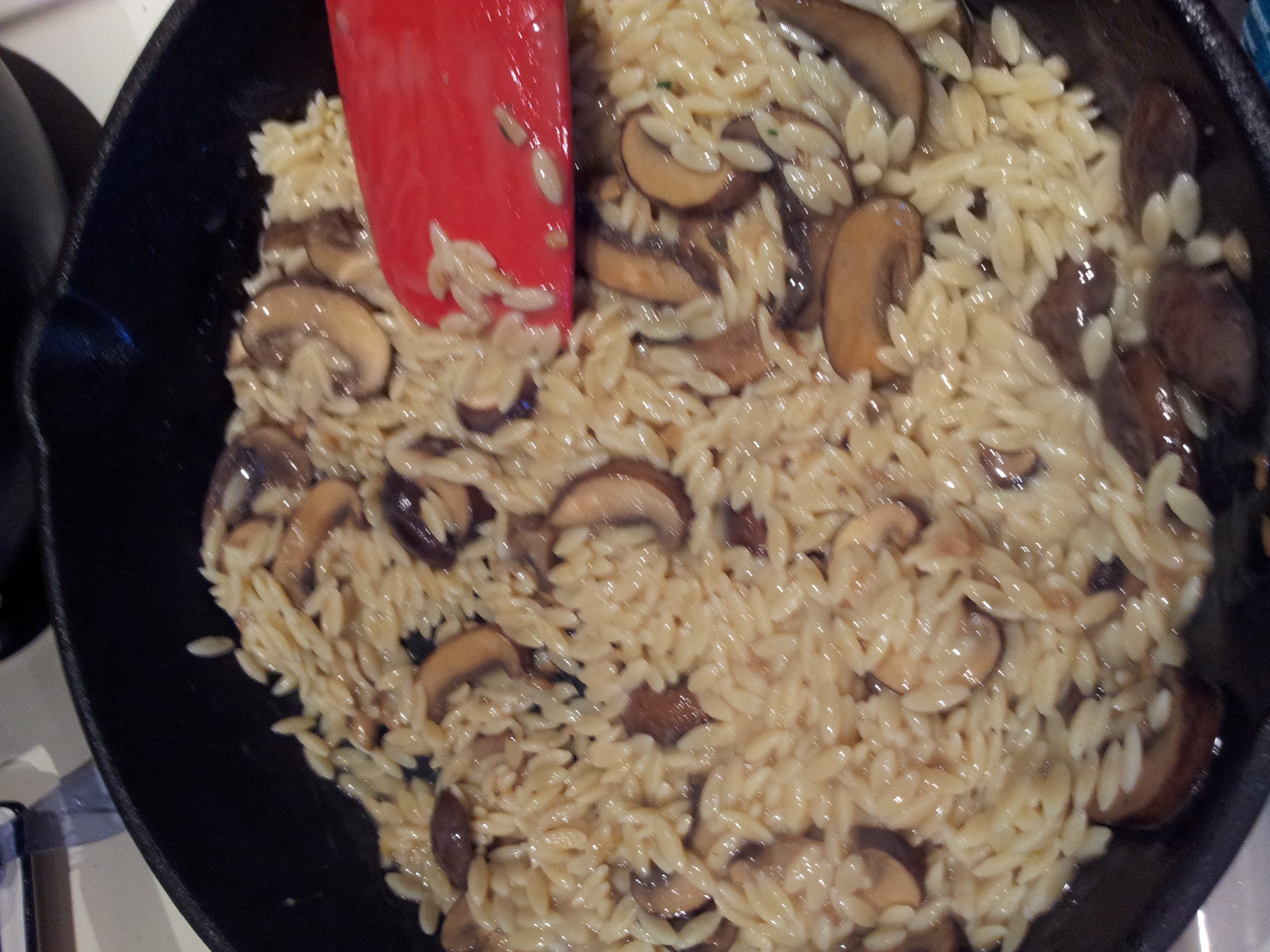 combining the orzo.jpg