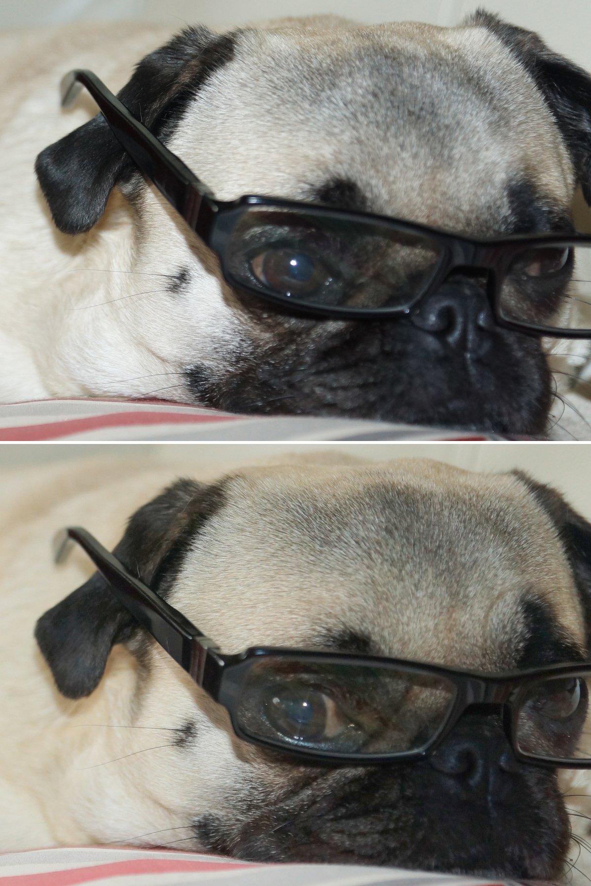 compare-test-glasses-close.jpg