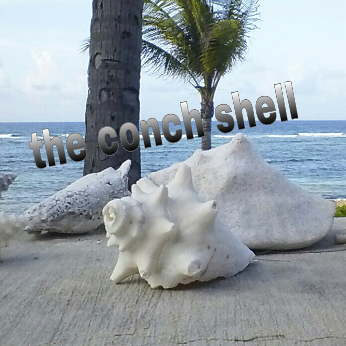 conch PicsArt_1405039105064.jpg