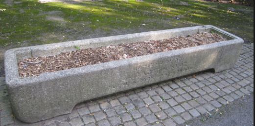 concrete planter.PNG