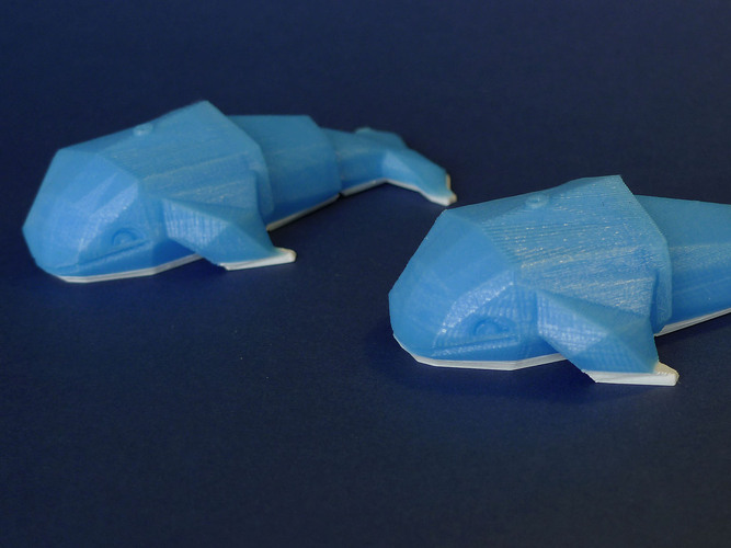 container_whale-toy-3d-printing-27876.jpg