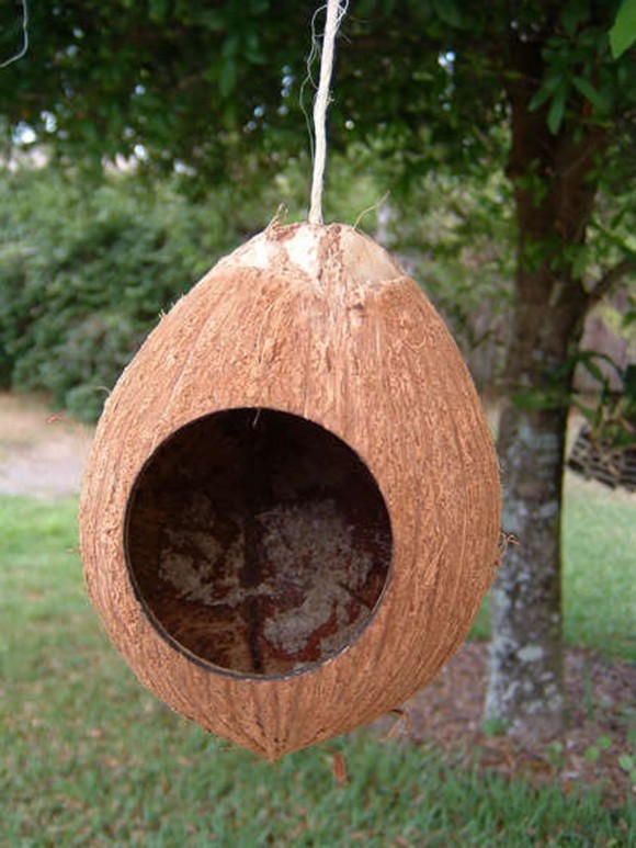 contemporary-coconut-bird-house-images-580x773.jpg