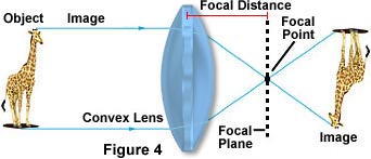 convexlens3.jpg