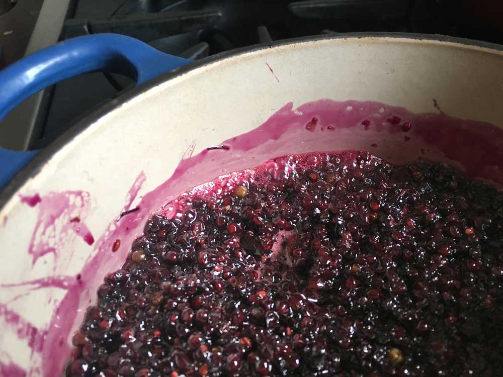 cooking-elderberry.jpg