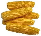 corn2.bmp