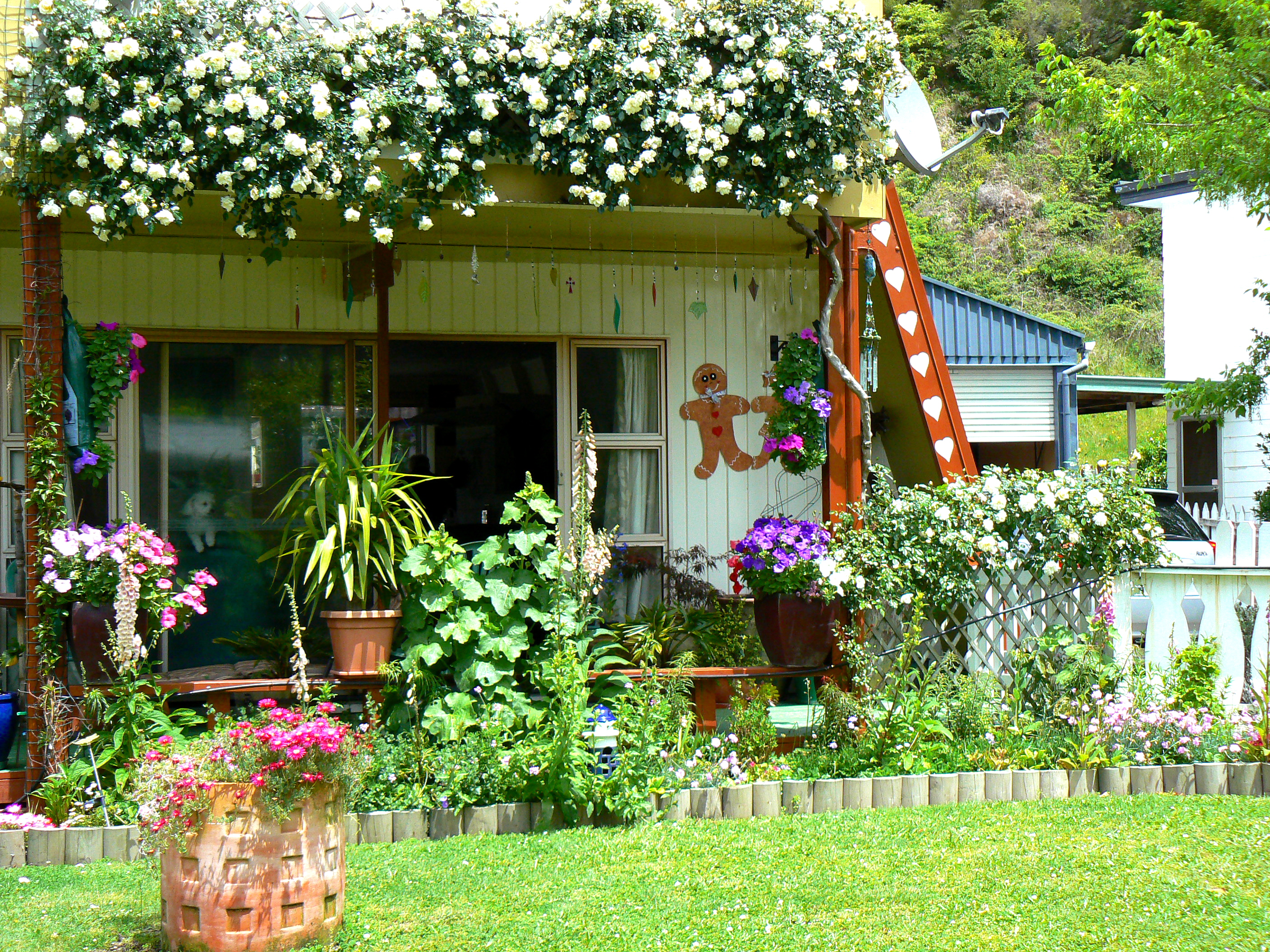 cottage garden.jpg