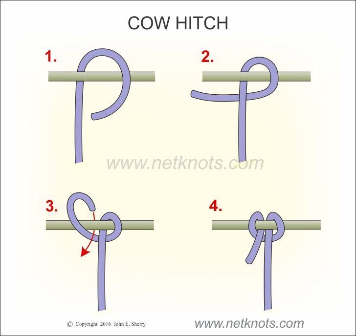 cow-hitch.jpg