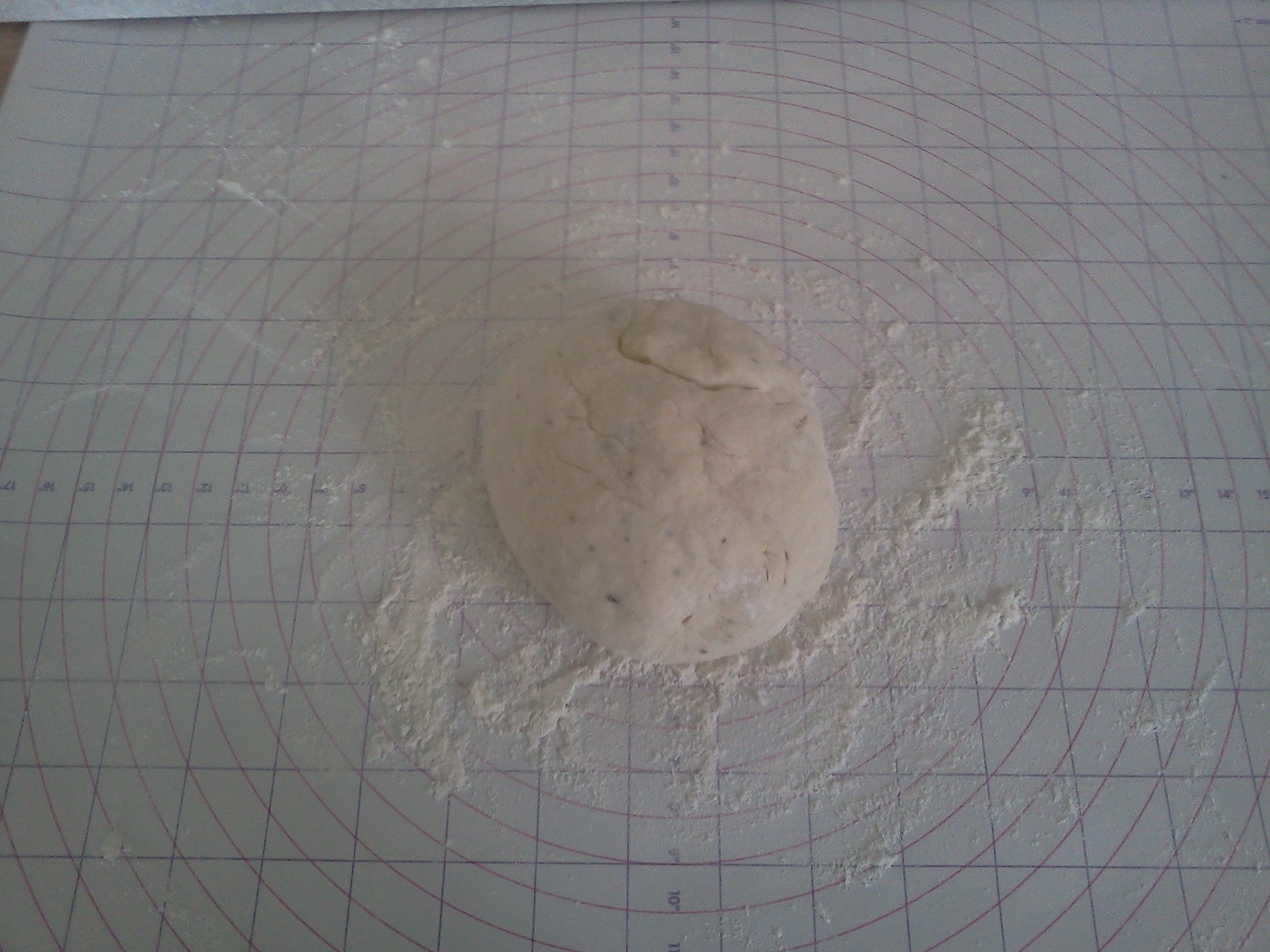 cracker dough.jpg