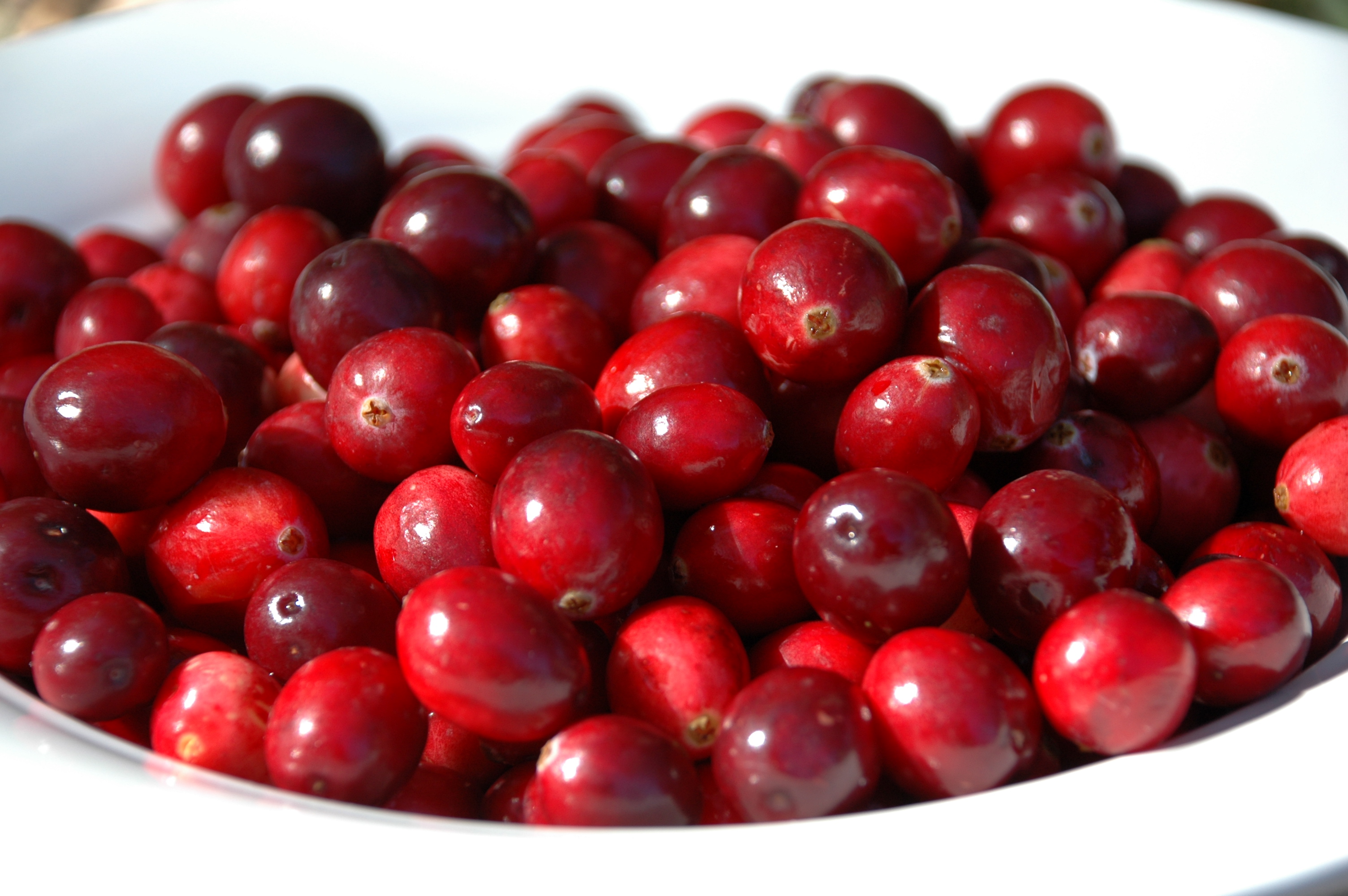 cranberries.jpg