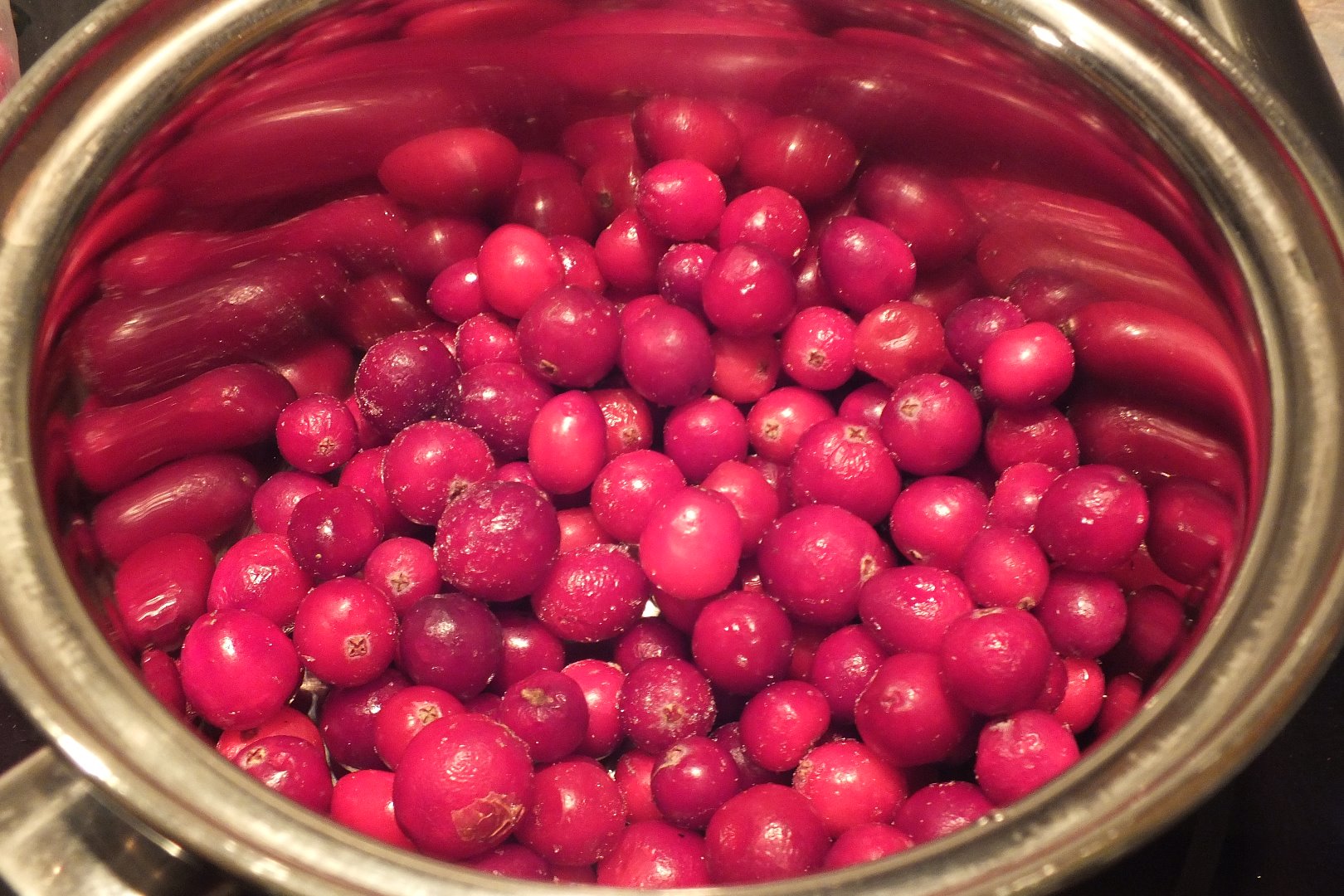 cranberry 001.JPG