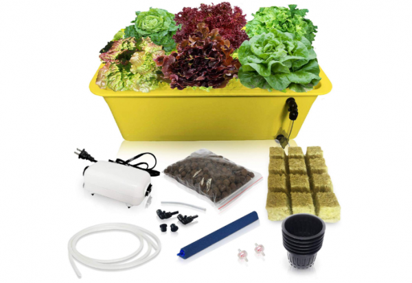 craving-for-fresh-vegetables-here-are-the-best-hydroponic-systems-on-amazon-this-2020.png