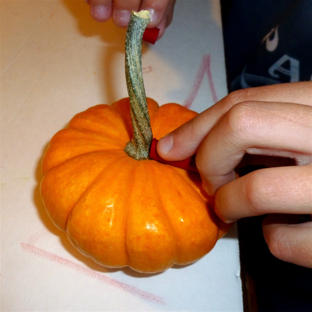 crayon-pumpkins_0011.jpg