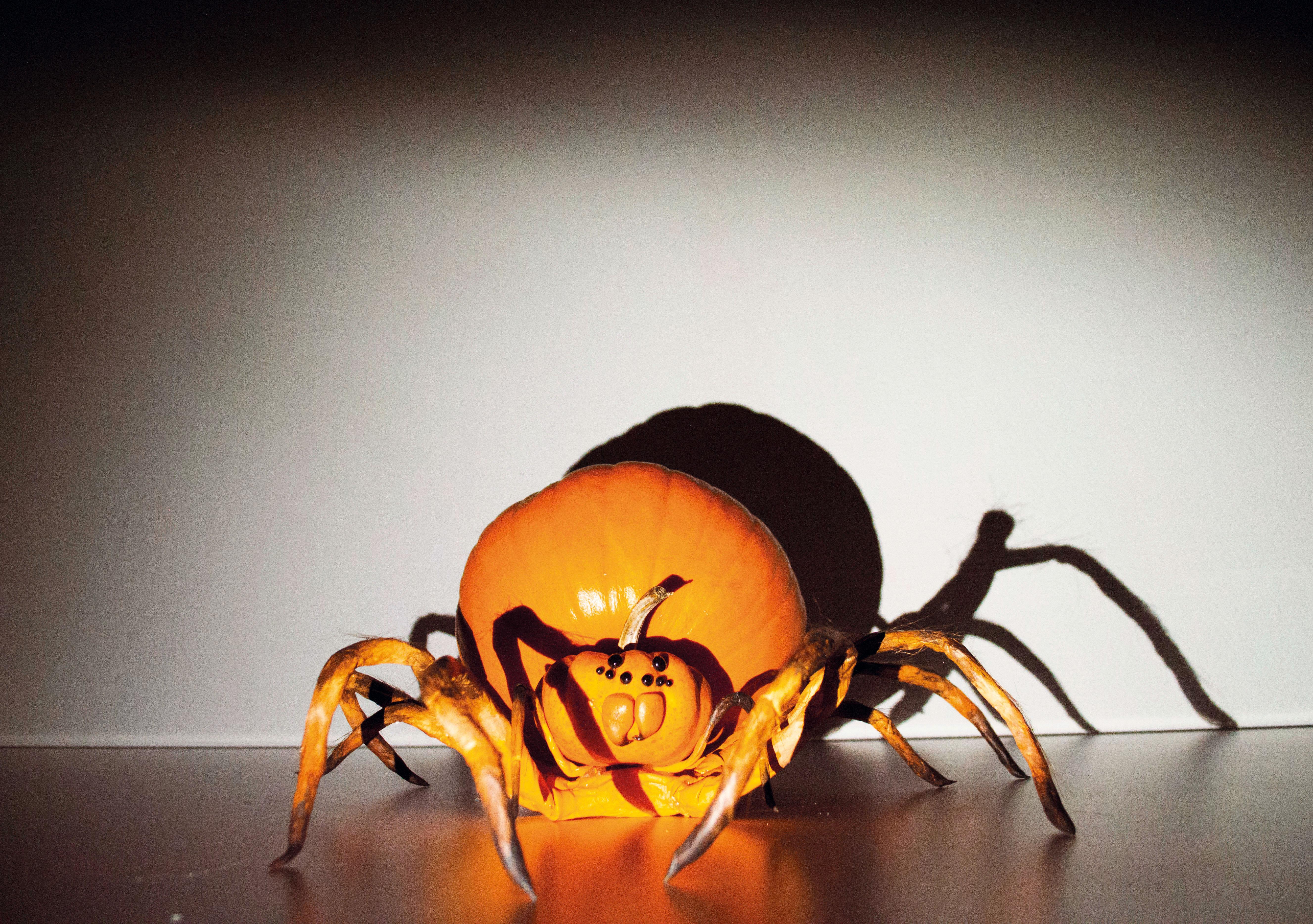 creepy dark spider pumpkin - Copie.jpg