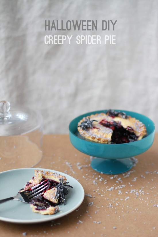 crepy-spider-pie.png