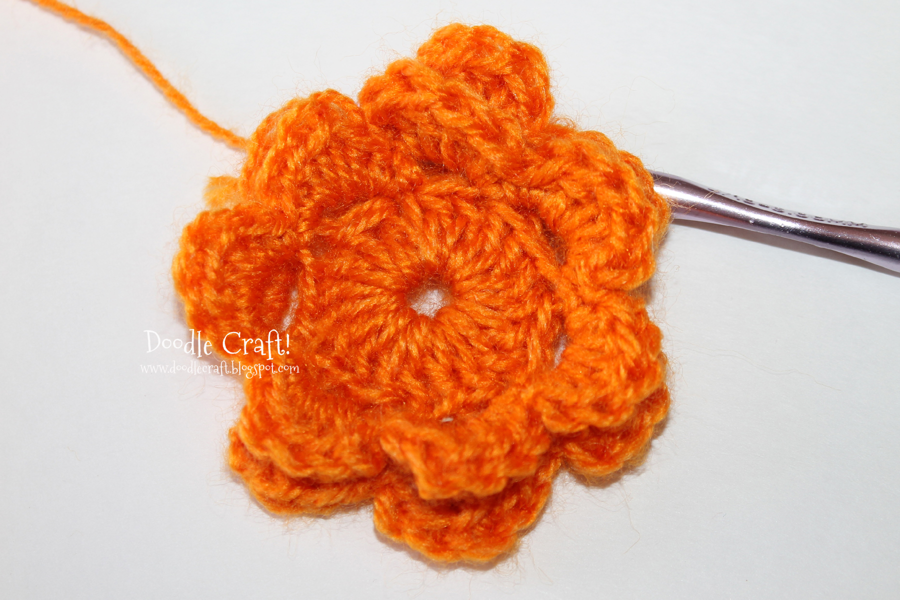 crochet a rosette step 18 completed rosette.jpg