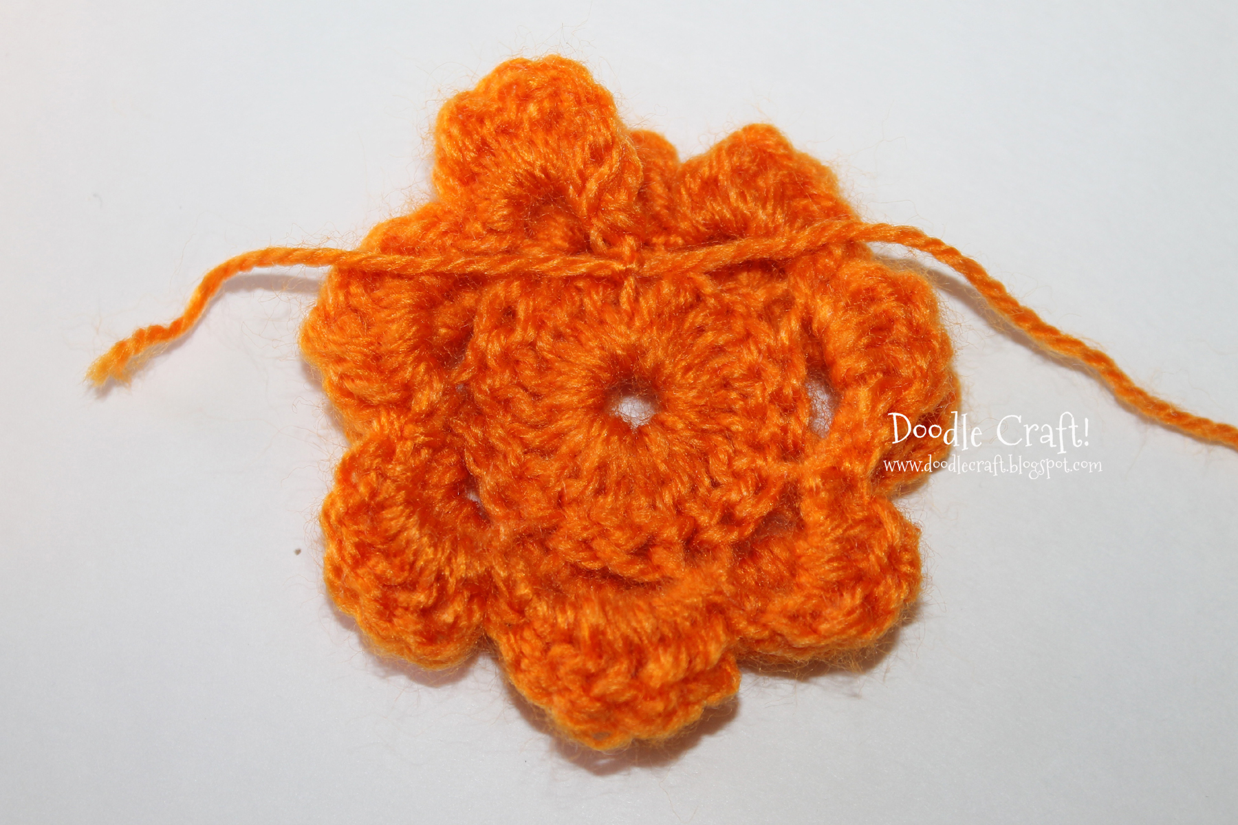 crochet a rosette step 20 tied strings.jpg