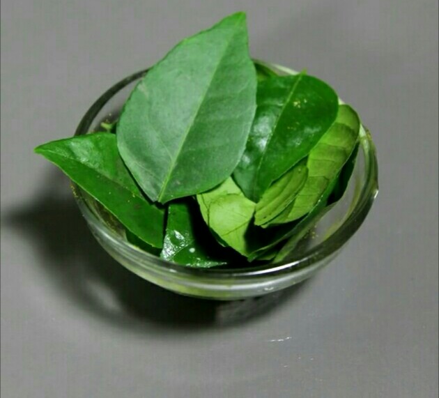 curry leaves.jpg