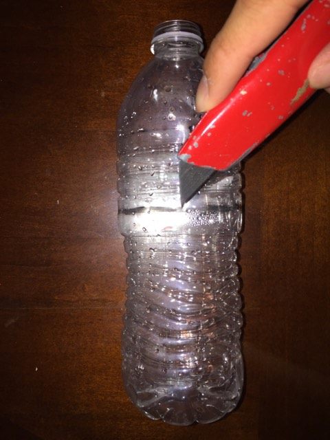 cut bottle.jpg