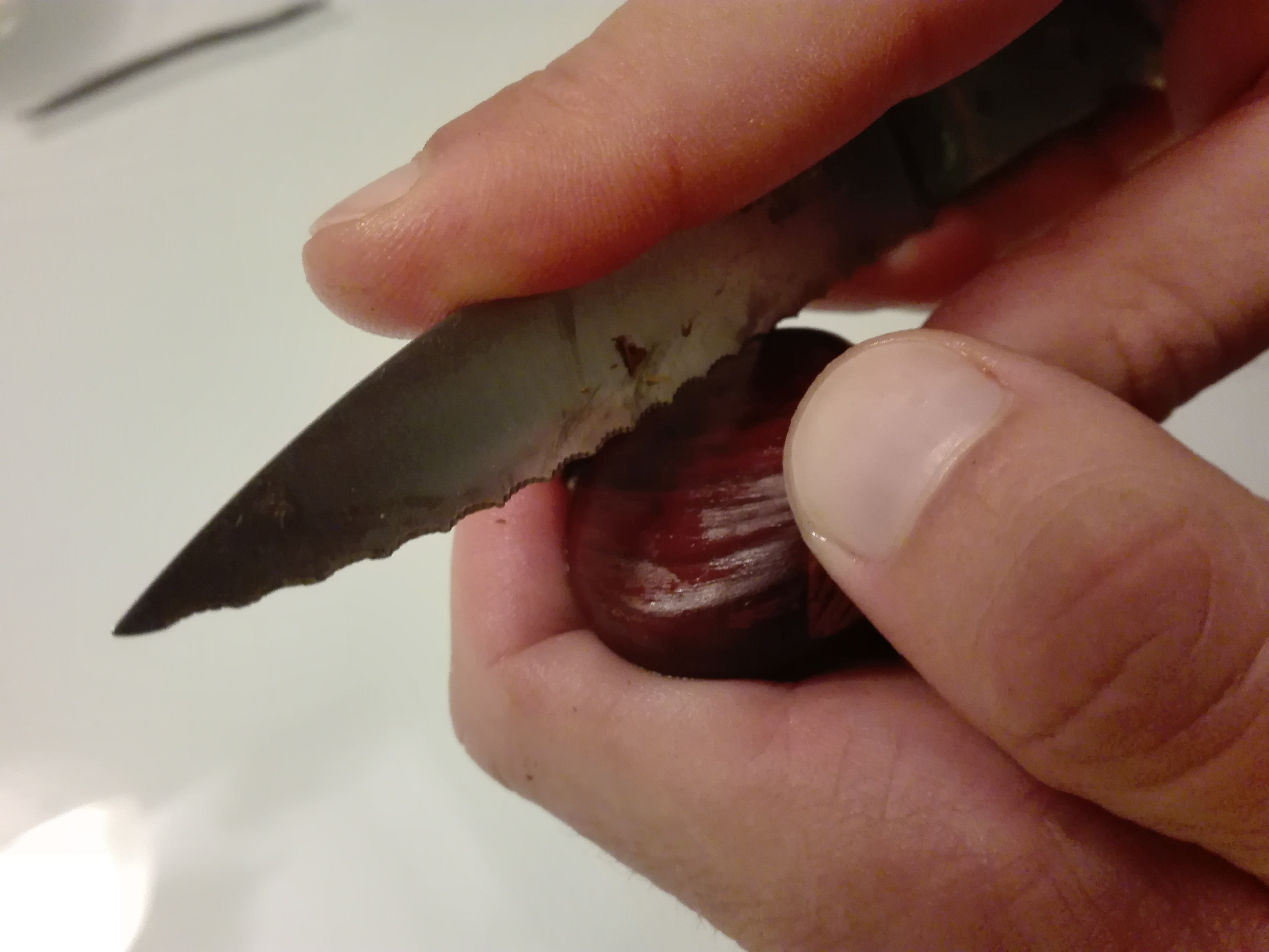 cut1.jpg