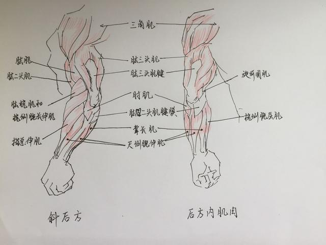 d686c3cc578b0eed0f34efef70ed955.png