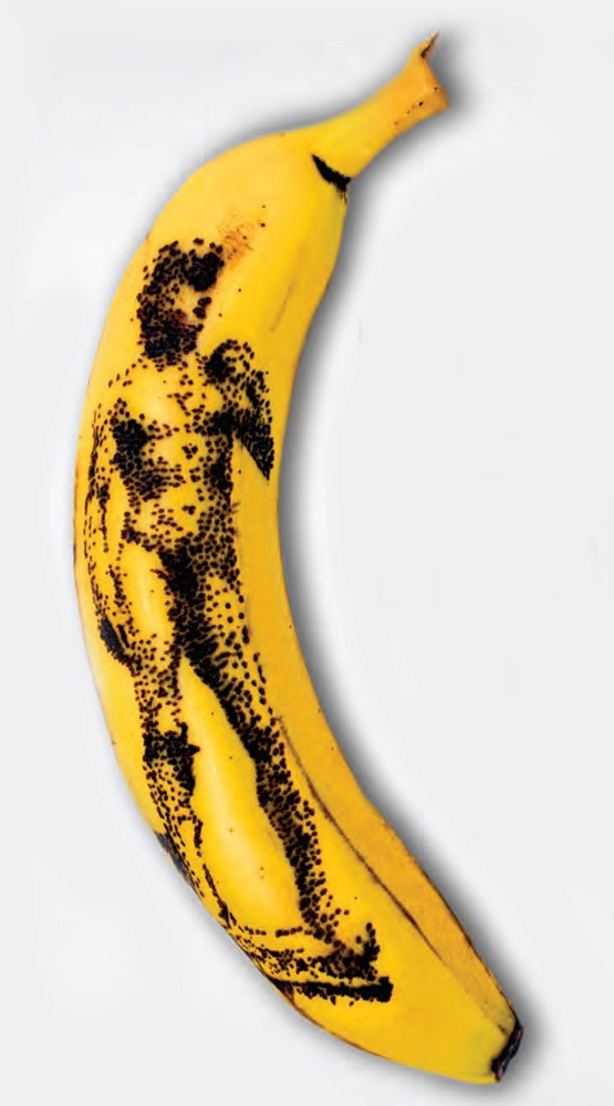 david banana2.jpg