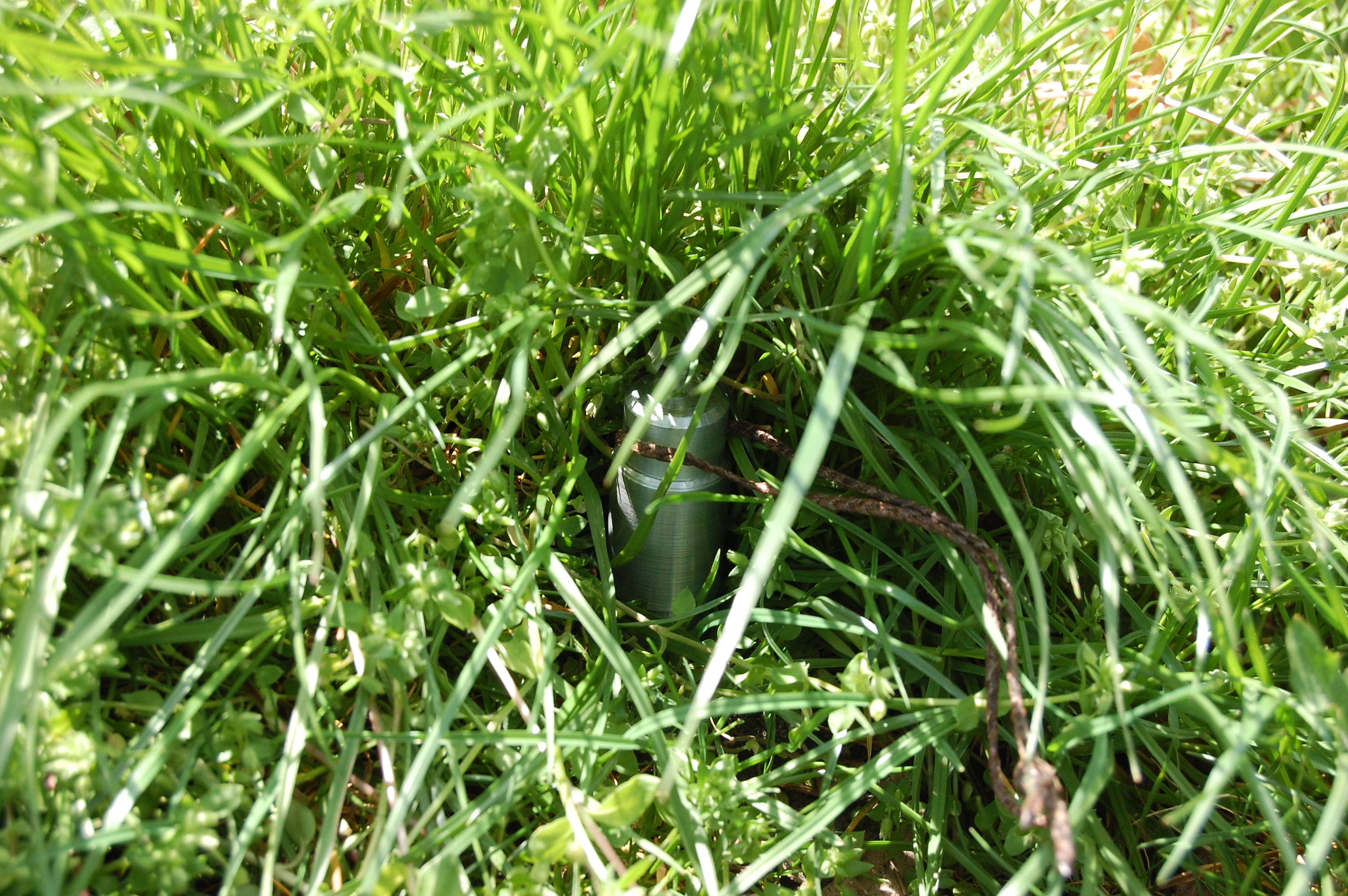 dead drop spike v.1 in grass (1).JPG