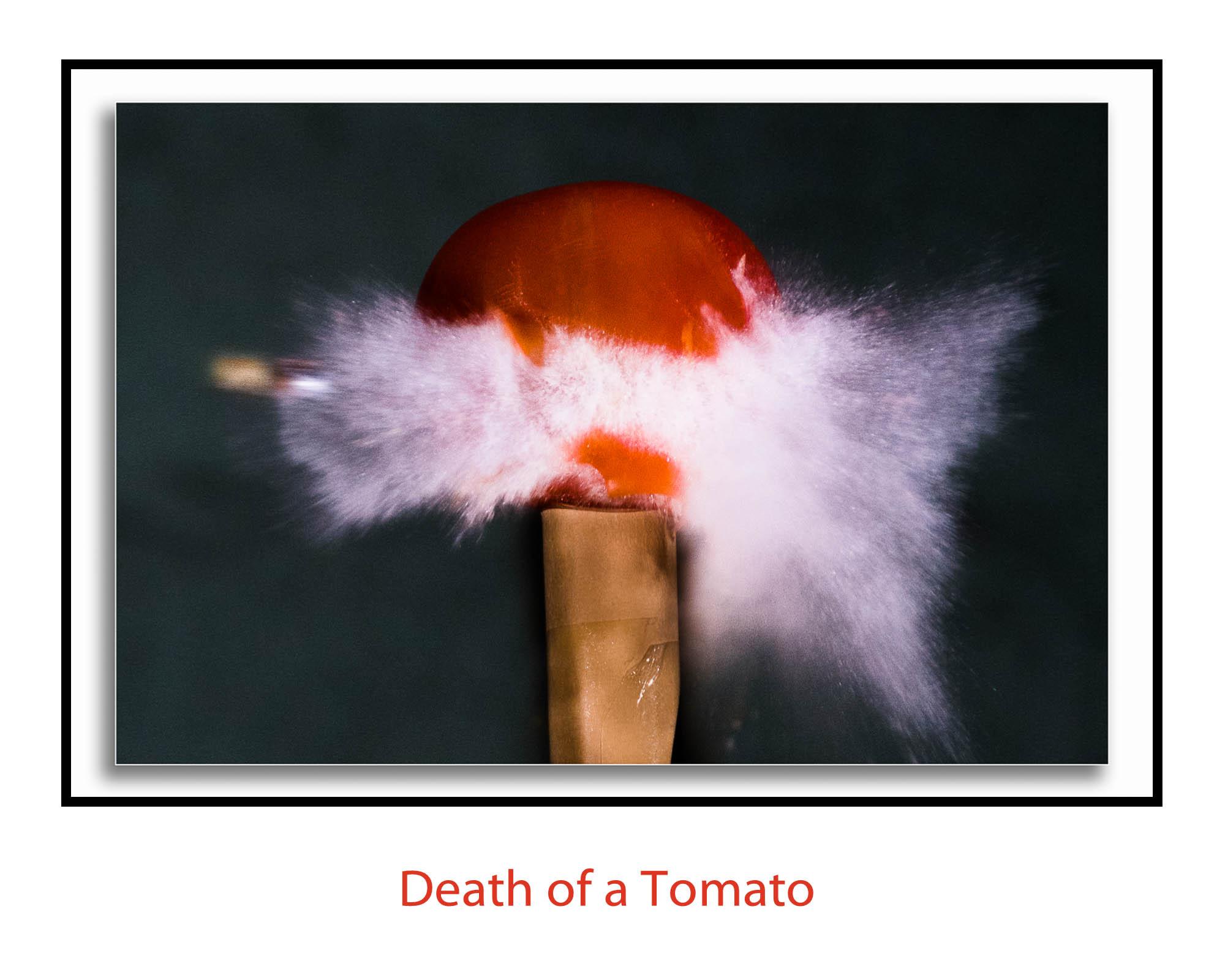 death of a tomato border reduced size.jpg