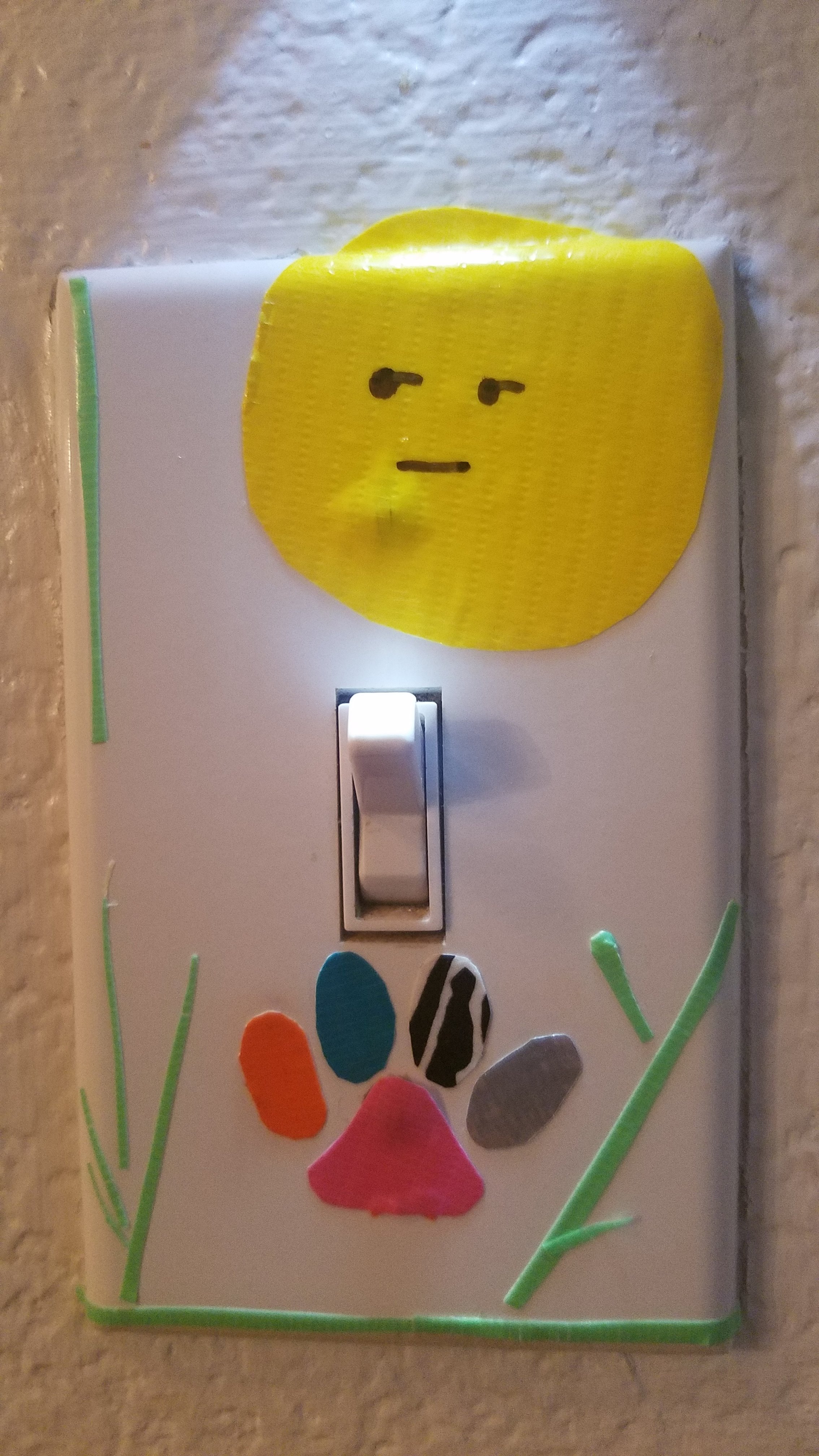 decorated switch.jpg