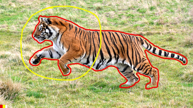 demo_image_in_poly-tiger-trace-outer.png