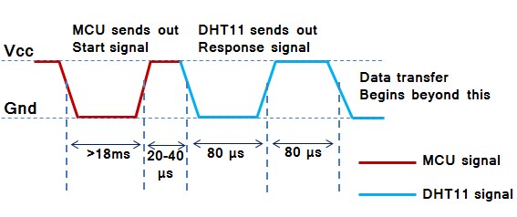 dht1123.jpg