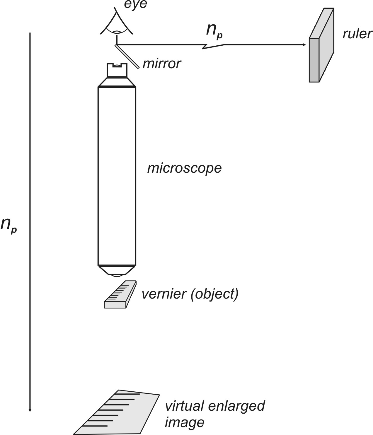 diagram of microscope setup.jpg