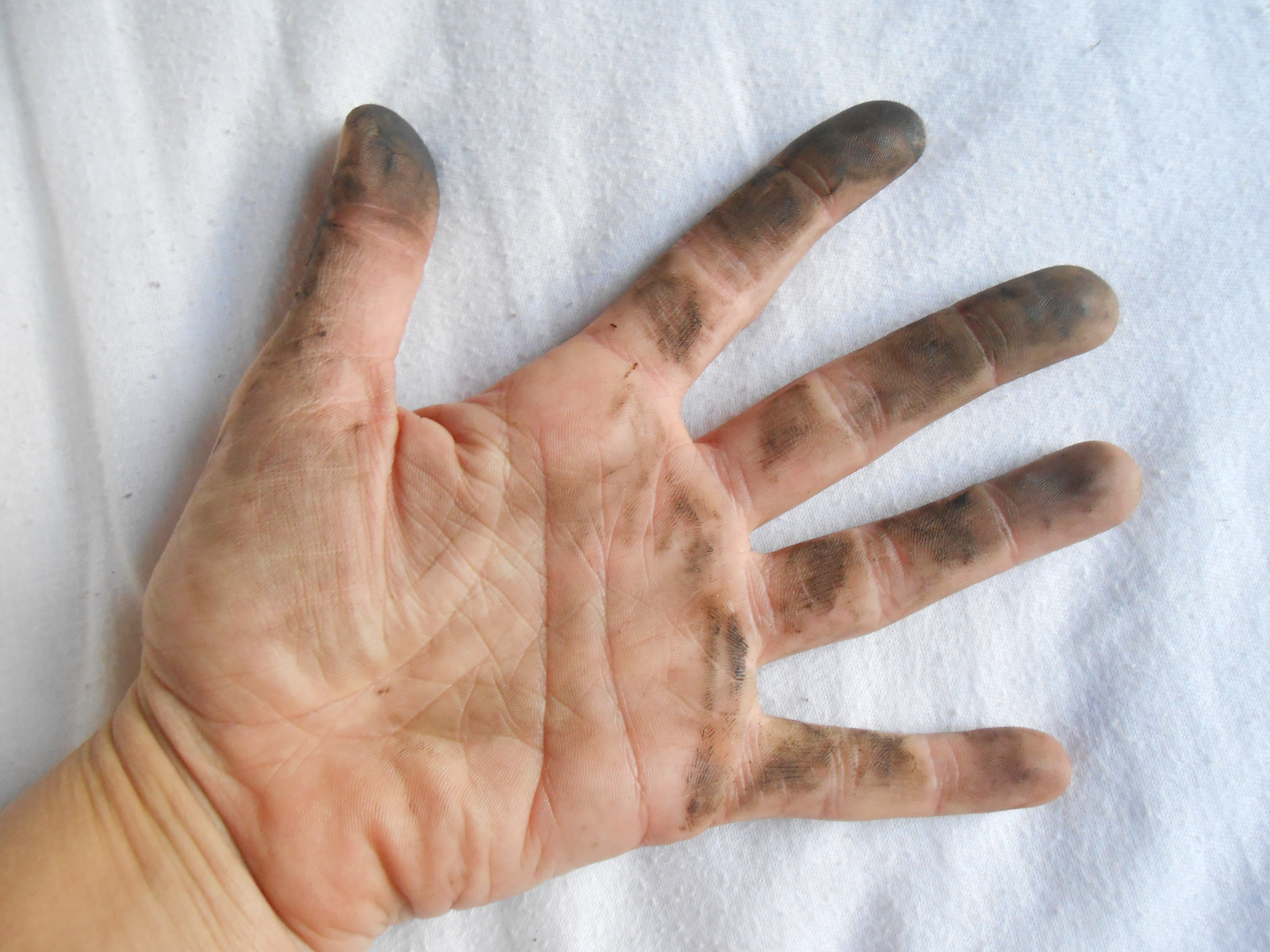 dirty hand.JPG