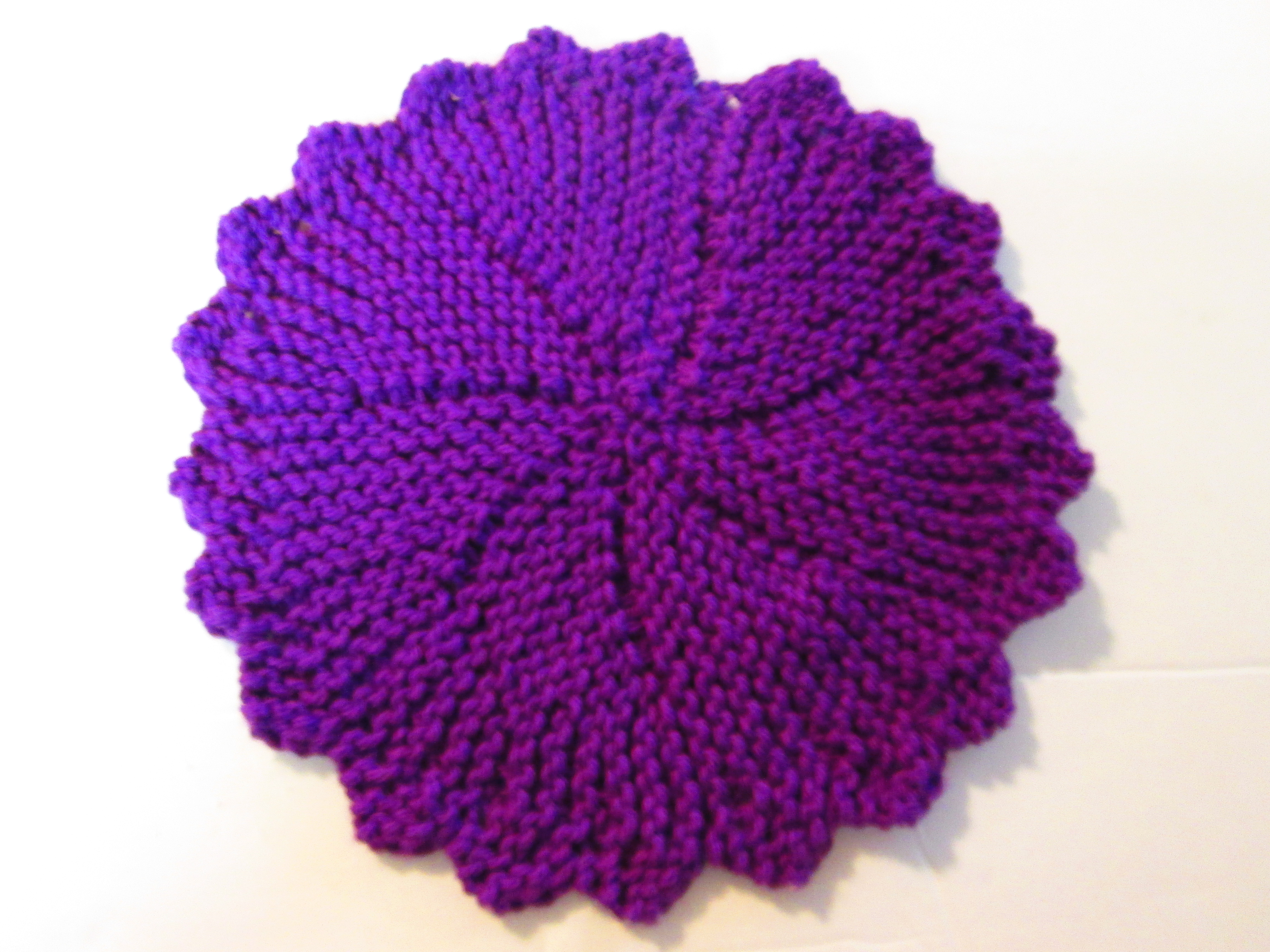 dishcloth 19.JPG