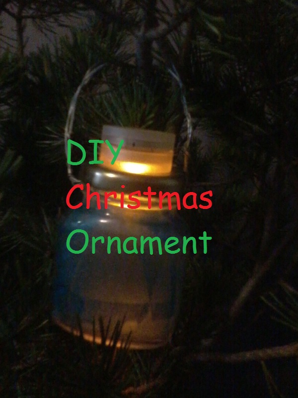 diy ornament - Copy (2).jpg