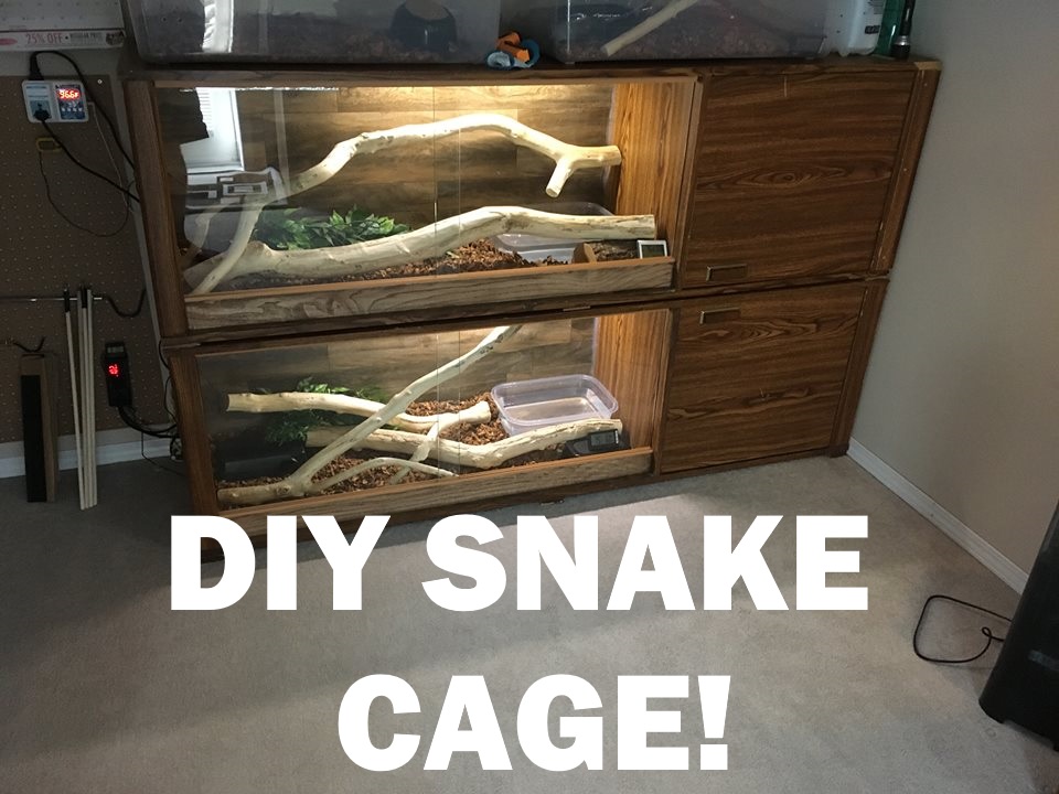 diy snake cage.jpg