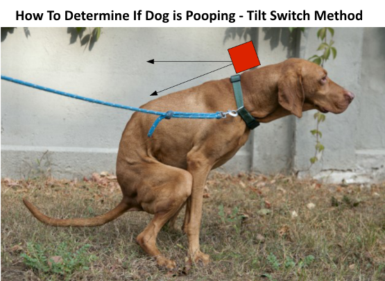 dog_poop_position.png