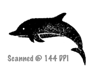 dolphin scan marked 144.png