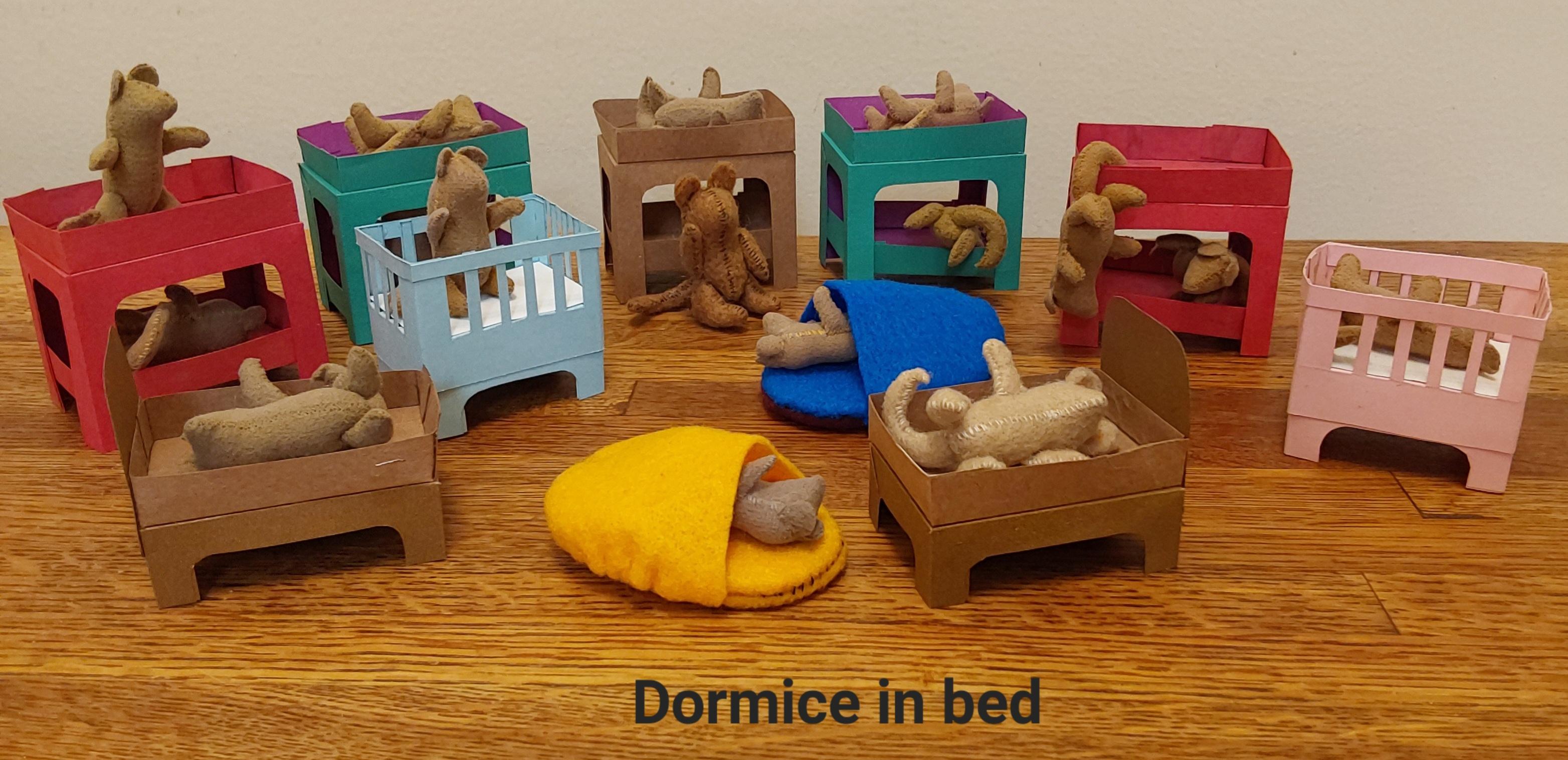 dormice in beds.jpg